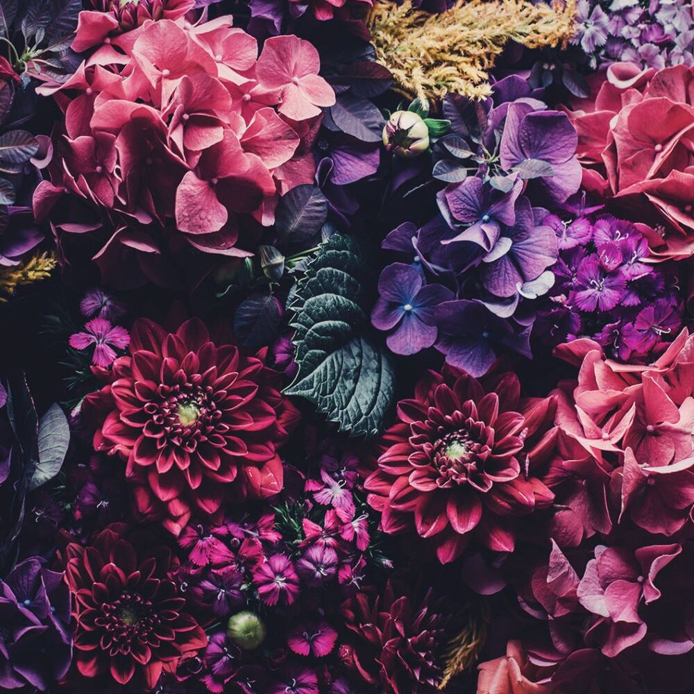 Meet your Posher, RubyJolie